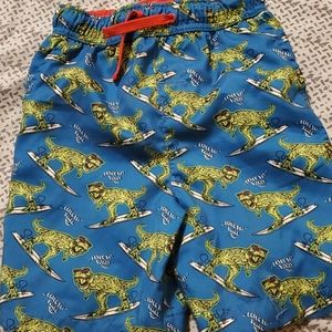 Euc boys dino swimsuit